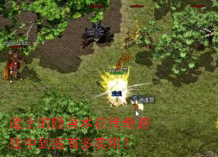 ��ʿ���������ڴ�����Ϸ�е����ж�ʵ�ã�